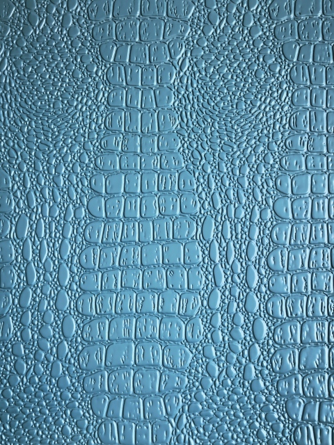 Embossed Panel