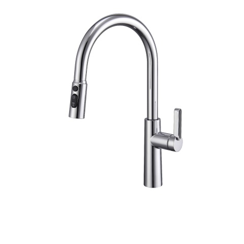 Kitchen Faucet