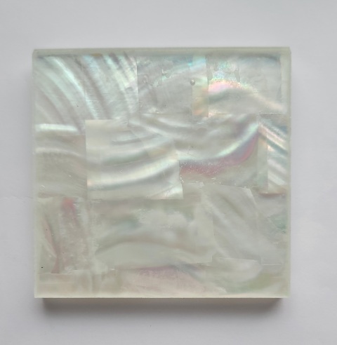 Shell Laminated Glass