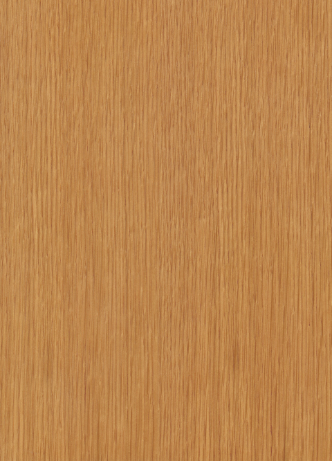 Color Swatch