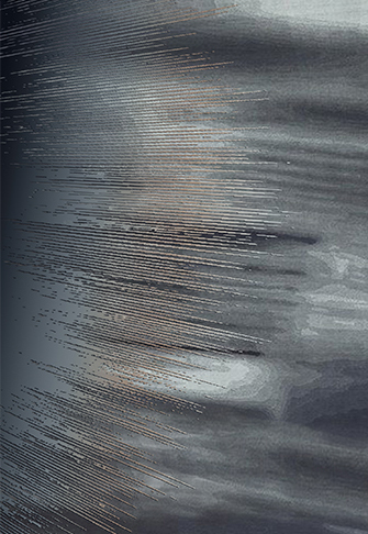 Hand-Tufted Carpet