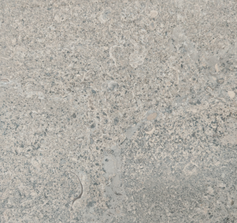 Vincennes Grey