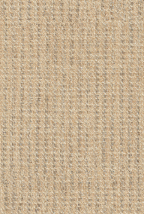 Color Swatch