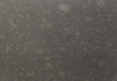 Vikas Grey