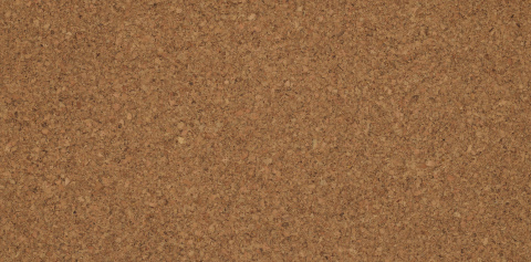 New Moor
