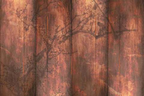 Custom Mural (Digital Print Wallpaper)