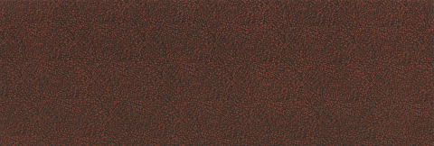 Brown Bison