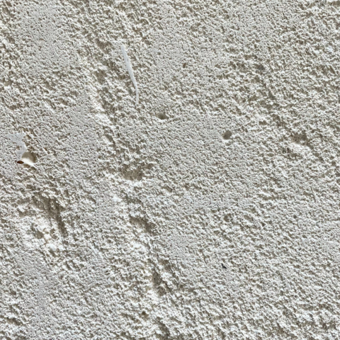 French Beige Limestone