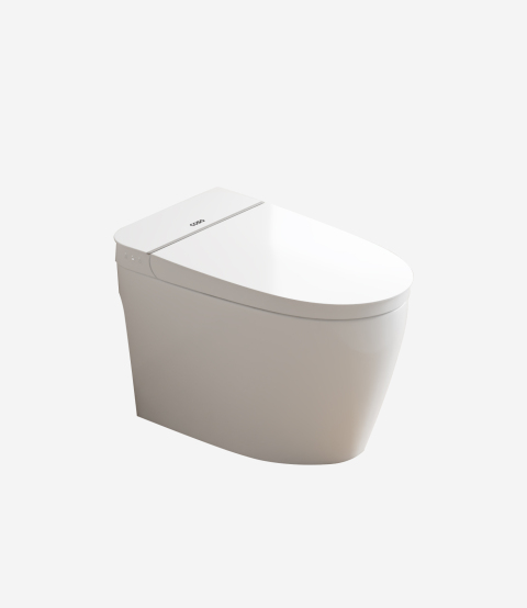 Light Smart Toilet