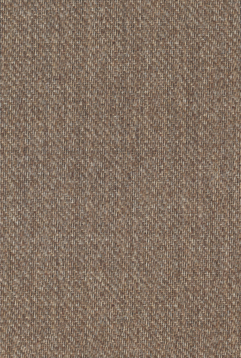 Color Swatch