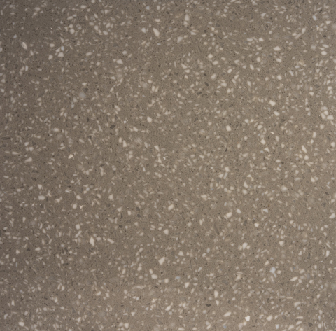 Coordinate Light Gray