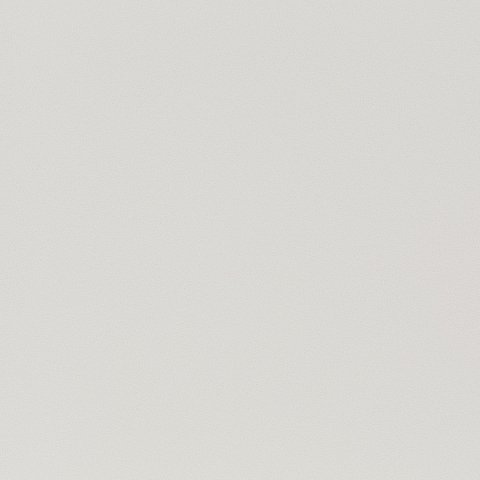 Curtain Fabric