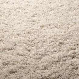 JAB Carpet