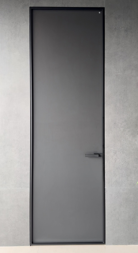 Minimalist Glass Swing Door