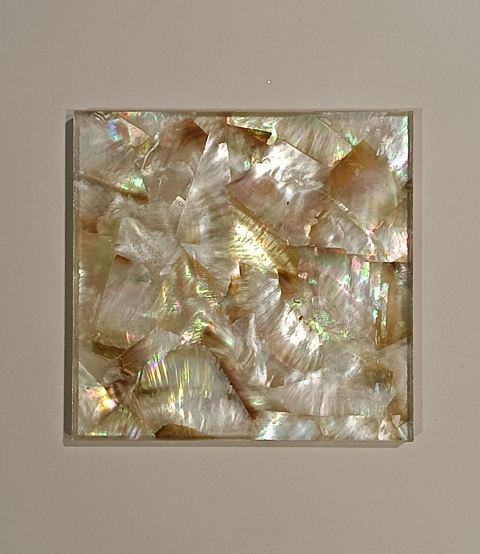 Shell Glass