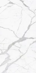 案例素材图