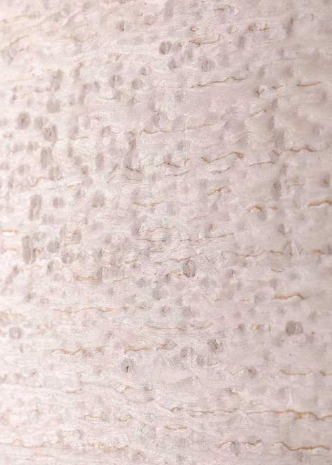 Alps wood veneer