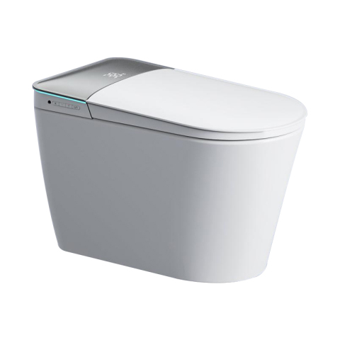 Smart Toilet