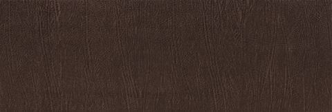 Mocha Buffalo