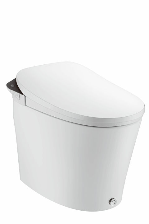 Smart Toilet