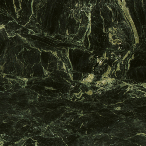 Royal Forest