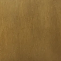 Brass Stainless Steel