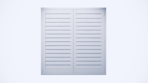 Polymer Swing Door