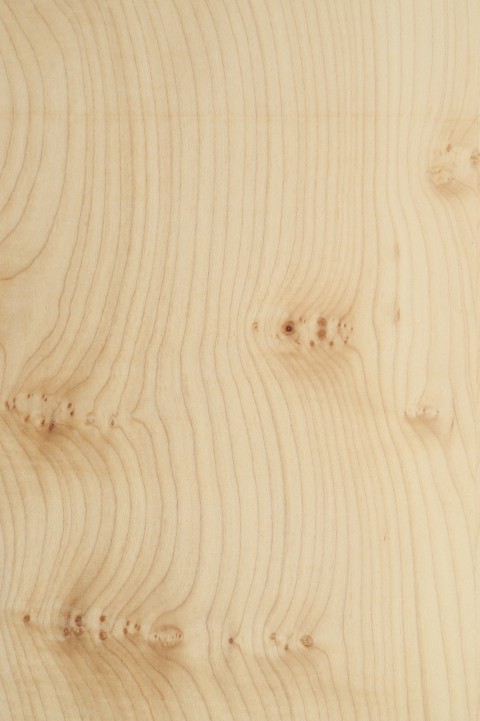 Bespoke Wood Veneer