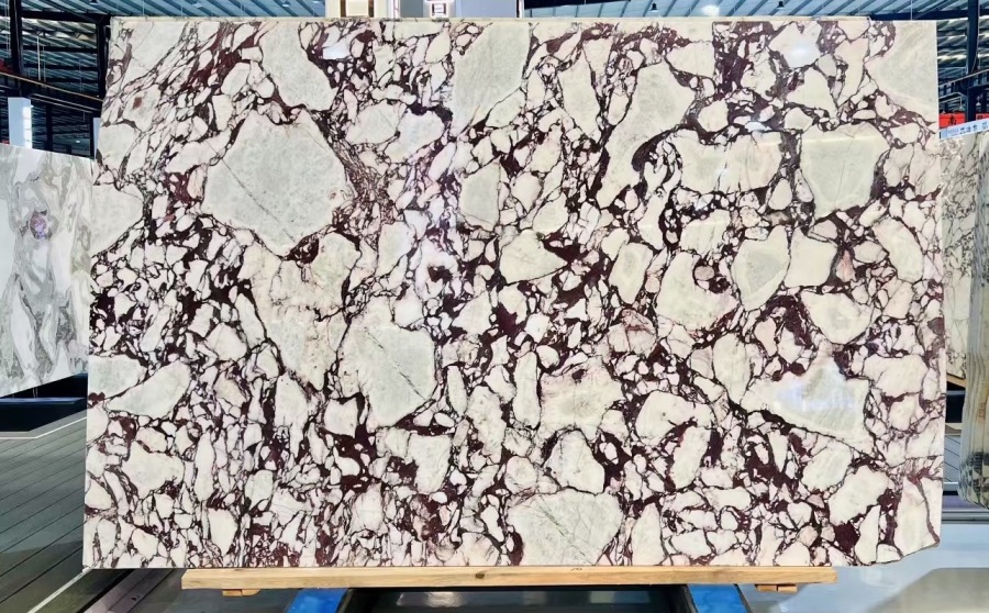 Product Details/cases/detailed Images