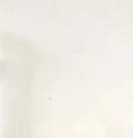 维纳斯白