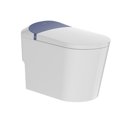 Smart Toilet