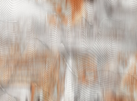 Hand-Tufted Carpet