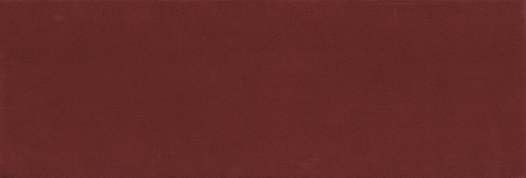 Burgundy Toro