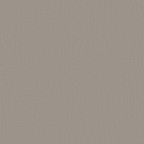 Color Swatch