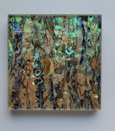 Shell Laminated Glass