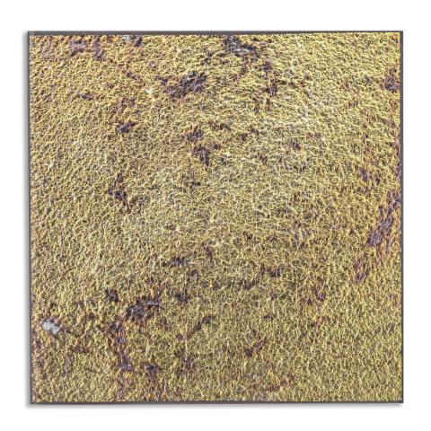 Liquid Metal Textured Glass