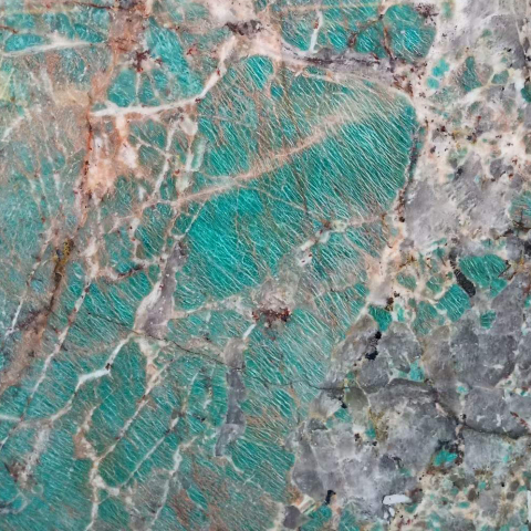 Amazon Green