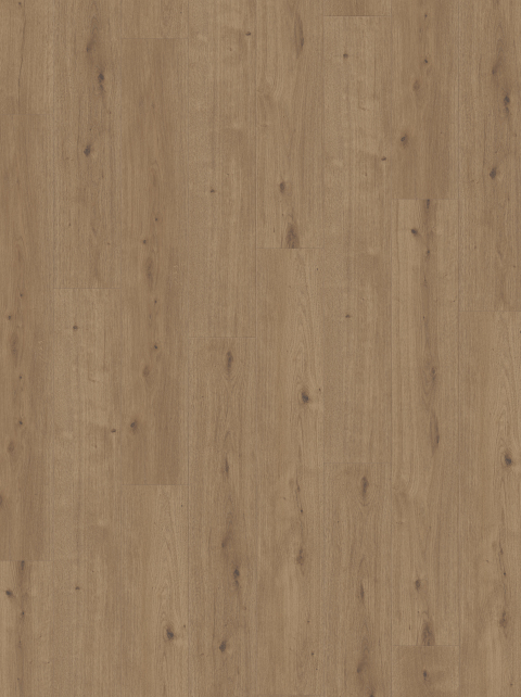 Functional Elastic Flooring