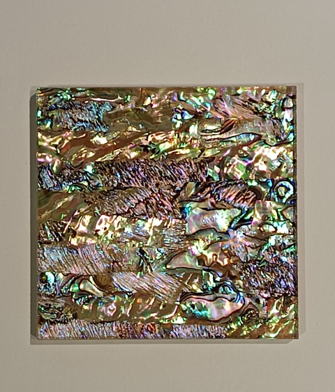 Shell Glass
