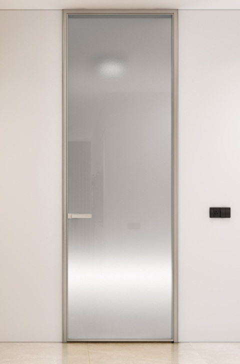 Minimalist Glass Swing Door