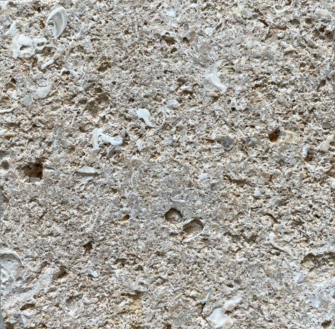 Aix Limestone