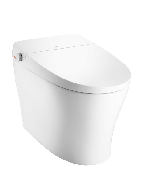 Smart Toilet