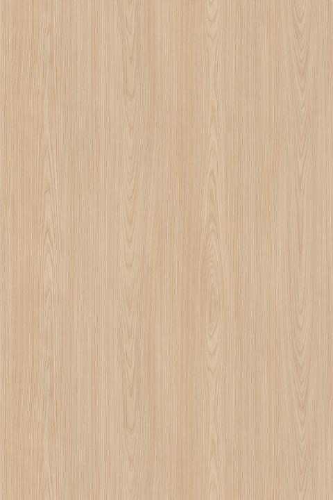 White Elm Crown Cut