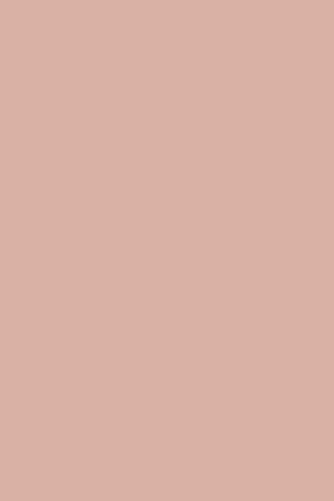 Soft-Touch Rose