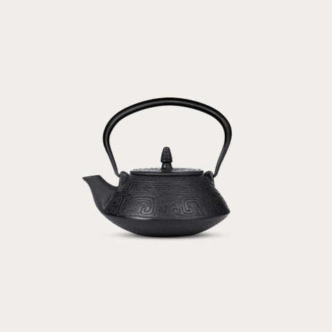 Cast Iron Teapot