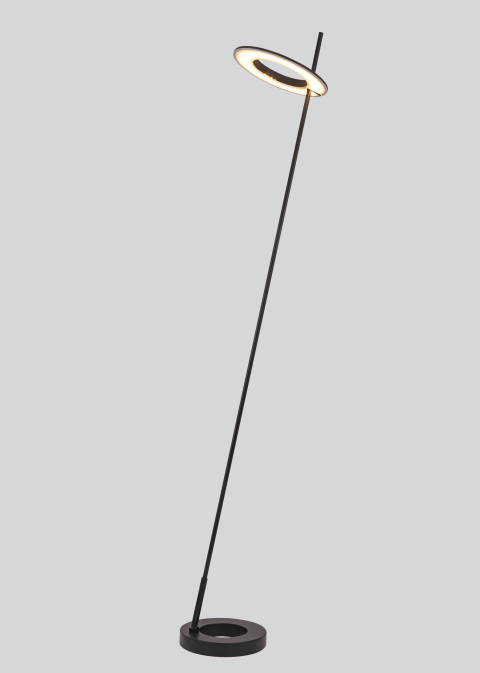 Decorative Floor Lamp