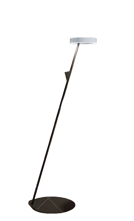 Decorative Floor Lamp