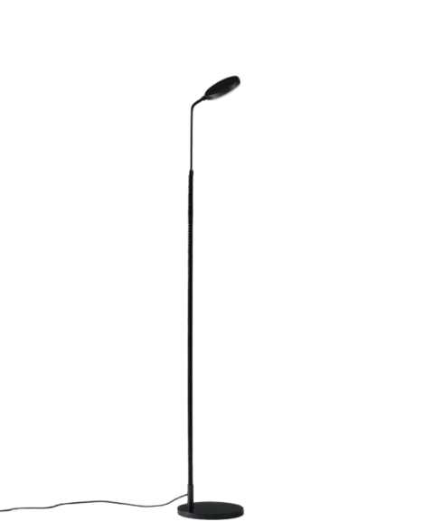 Decorative Floor Lamp