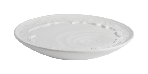 Misty Field Plate