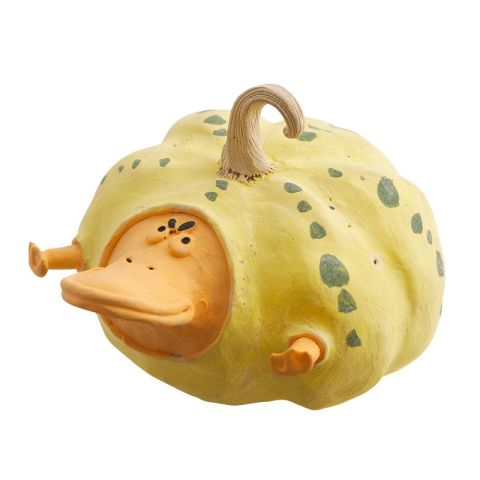鸭嘴果(南瓜黄)